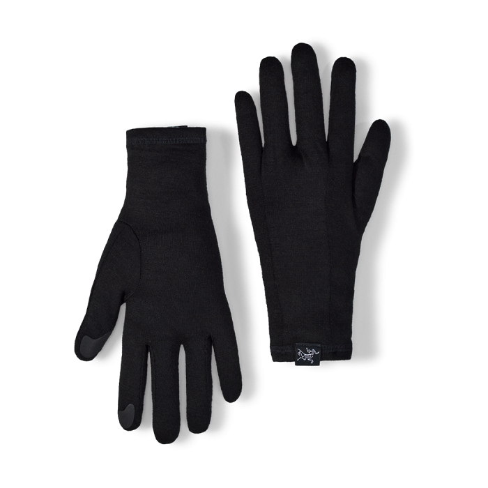 아크테릭스[ARCTERYX] FW24 고딕 글러브 / AEOFUX6539 (당일발송)