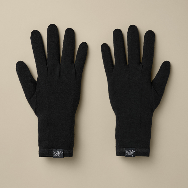 아크테릭스[ARCTERYX] FW26 고딕 글러브 / AEQFU06539 (당일발송)