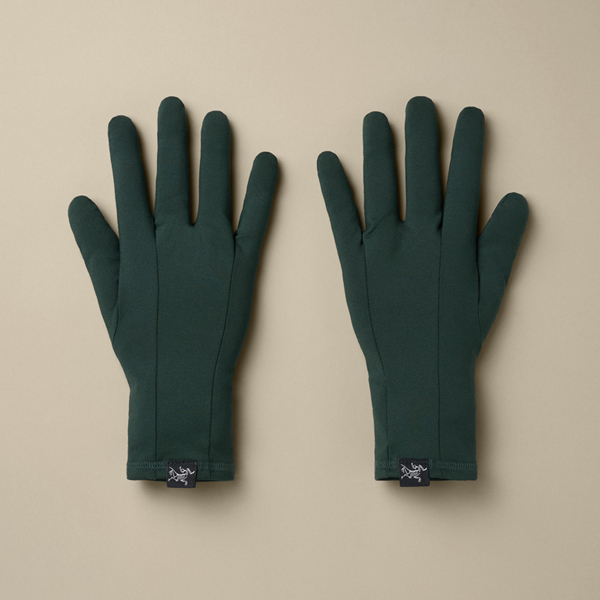아크테릭스[ARCTERYX] FW26 로 글러브 / AEQFU06583 (당일발송)