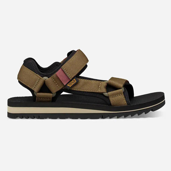 ׹[Teva] Ϲ Ʈ   / DOL